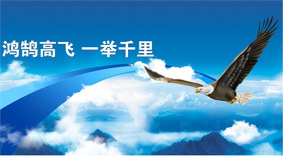 澤亞咨詢公司&mdash;&mdash;企業(yè)管理發(fā)展的革新的利刃