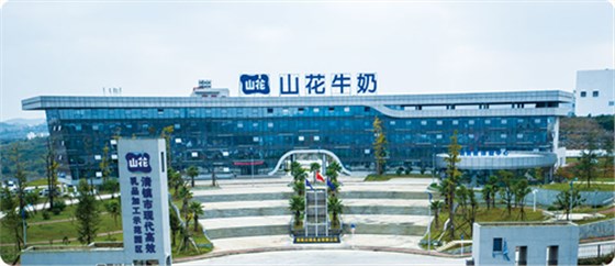 澤亞咨詢之SL財務自糾自查工作開展紀實