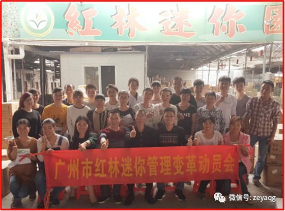 澤亞幫助紅林迷你園藝建立完善管理制度以及激勵系統(tǒng)