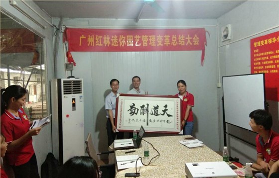 澤亞幫助紅林迷你園藝建立完善管理制度以及激勵系統(tǒng)