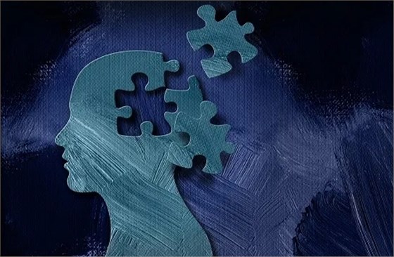 微信截圖_20240513162013