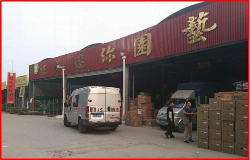 澤亞咨詢之熱烈祝賀廣州紅林迷你園藝咨詢項目啟動