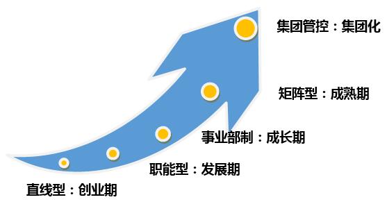 組織結(jié)構(gòu)類型選擇