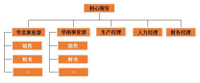 區(qū)域事業(yè)部制組織架構(gòu)