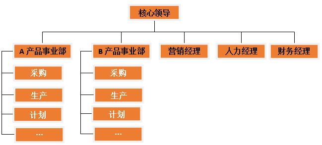 產(chǎn)品/品牌事業(yè)部制組織架構(gòu)